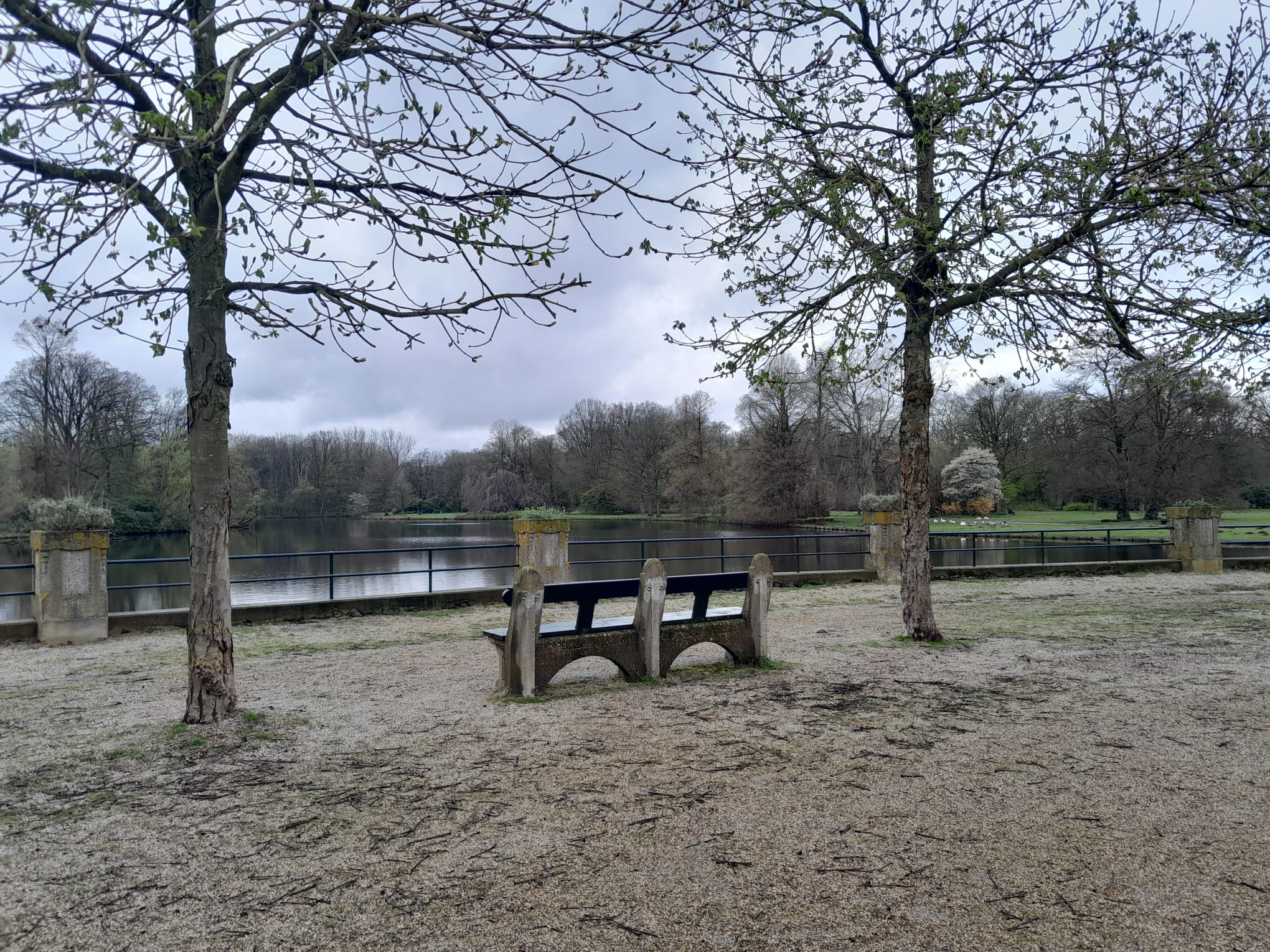 Photo at of an empty bench at the water. The weather is rainy, the park is very calm and quiet